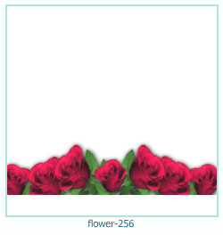 flower Photo frame 256